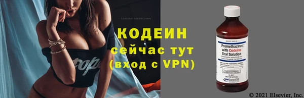 эйфоретик Баксан